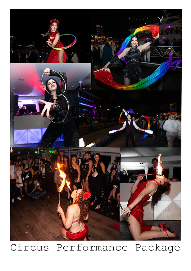 Circus performance
