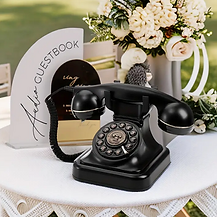 Audio Guest Book